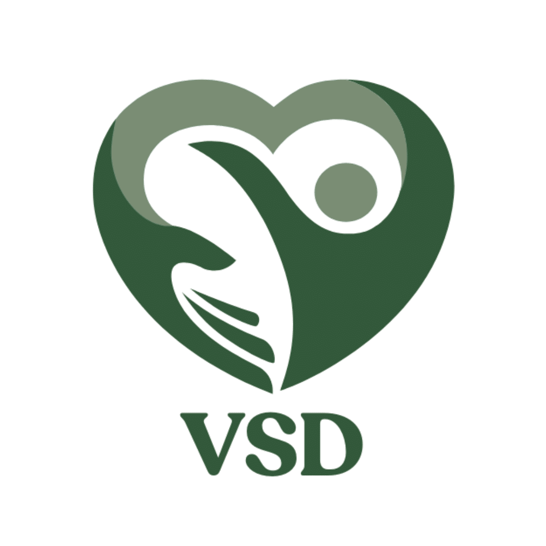 Rosemery Vidal – VSD Educação